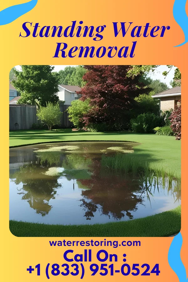 Standing Water Removal in London, AR
